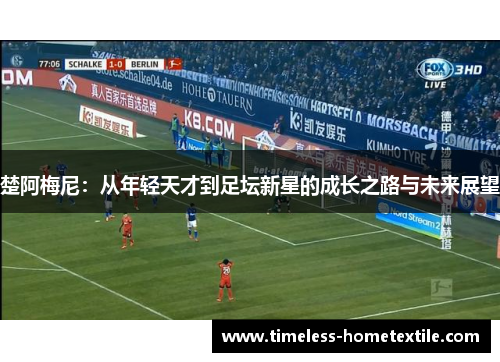 楚阿梅尼：从年轻天才到足坛新星的成长之路与未来展望