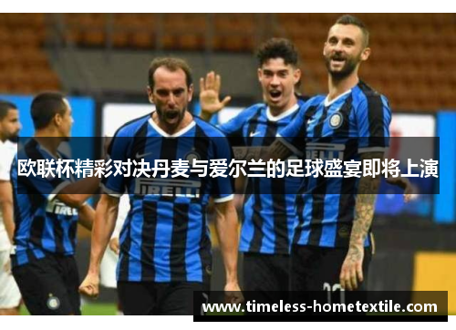 欧联杯精彩对决丹麦与爱尔兰的足球盛宴即将上演